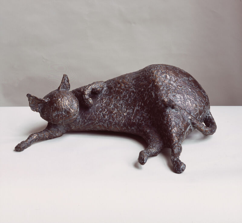 cat lying down, 2007