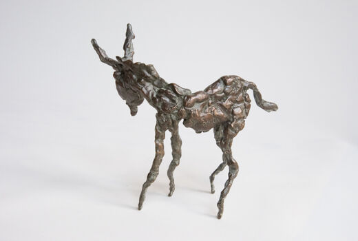 little donkey, 2014