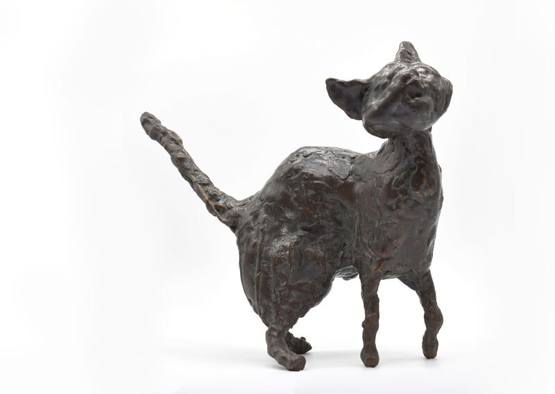 young cat, 2006