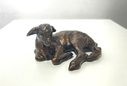 reclining Karakul lamb, 1996