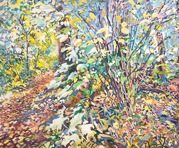 autumn forest, 2024