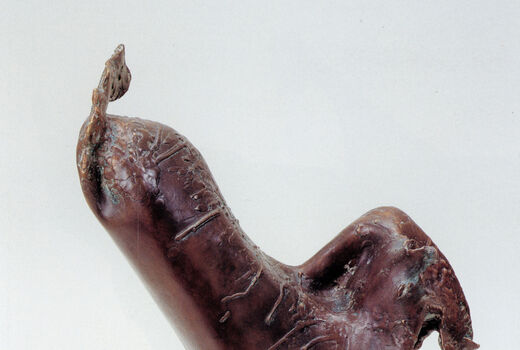rooster, 1997