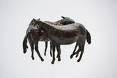 wild horses, before 1990