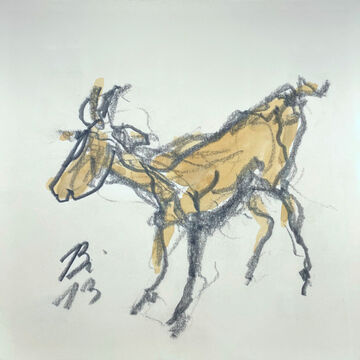 goat, 2013