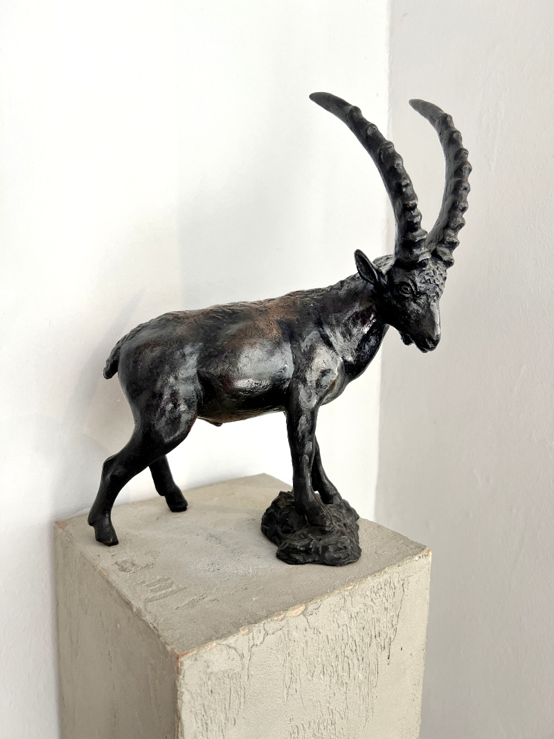 Capricorn, 1982